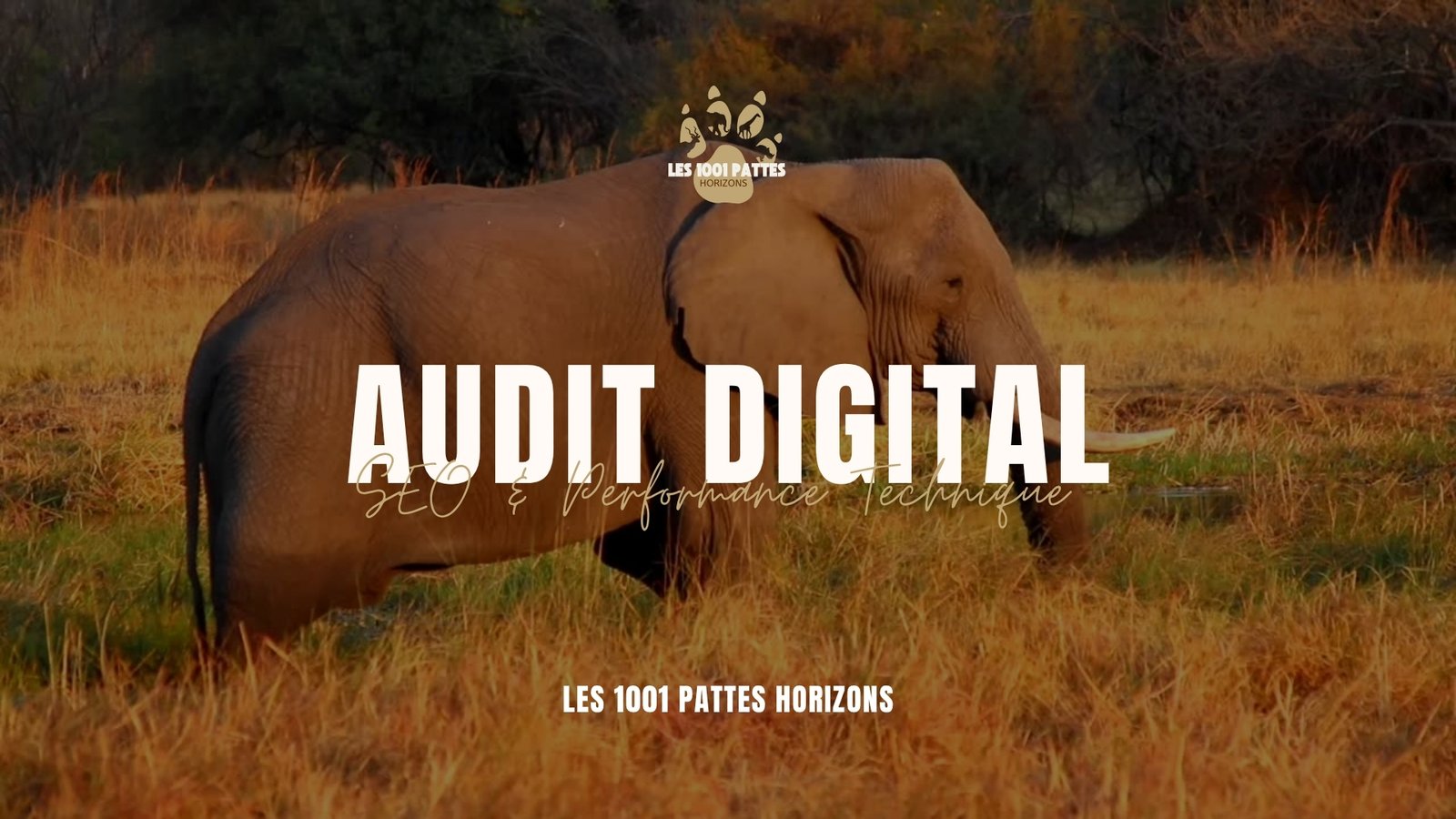 Audit Slide 1